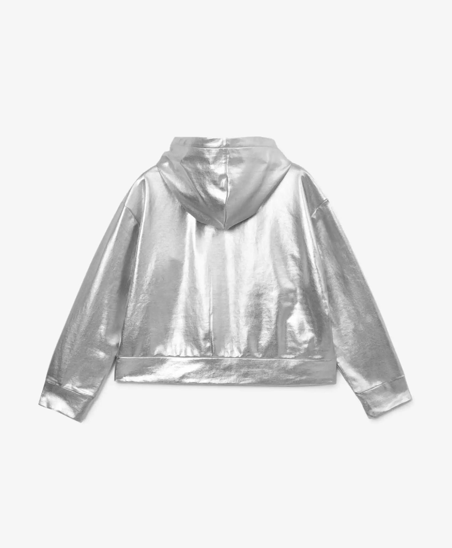 Сребърен суичър с цип, Gulliver