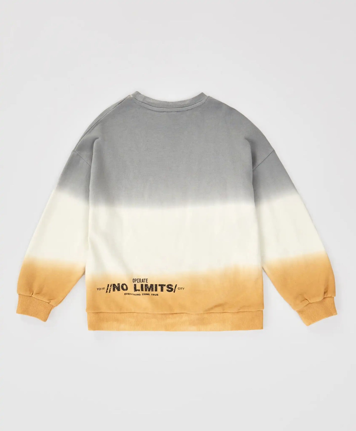 Суитшърт без цип с принт и градиент многоцветен детски Button Blue