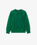 Суитшърт за момче с принт зелен Gulliver