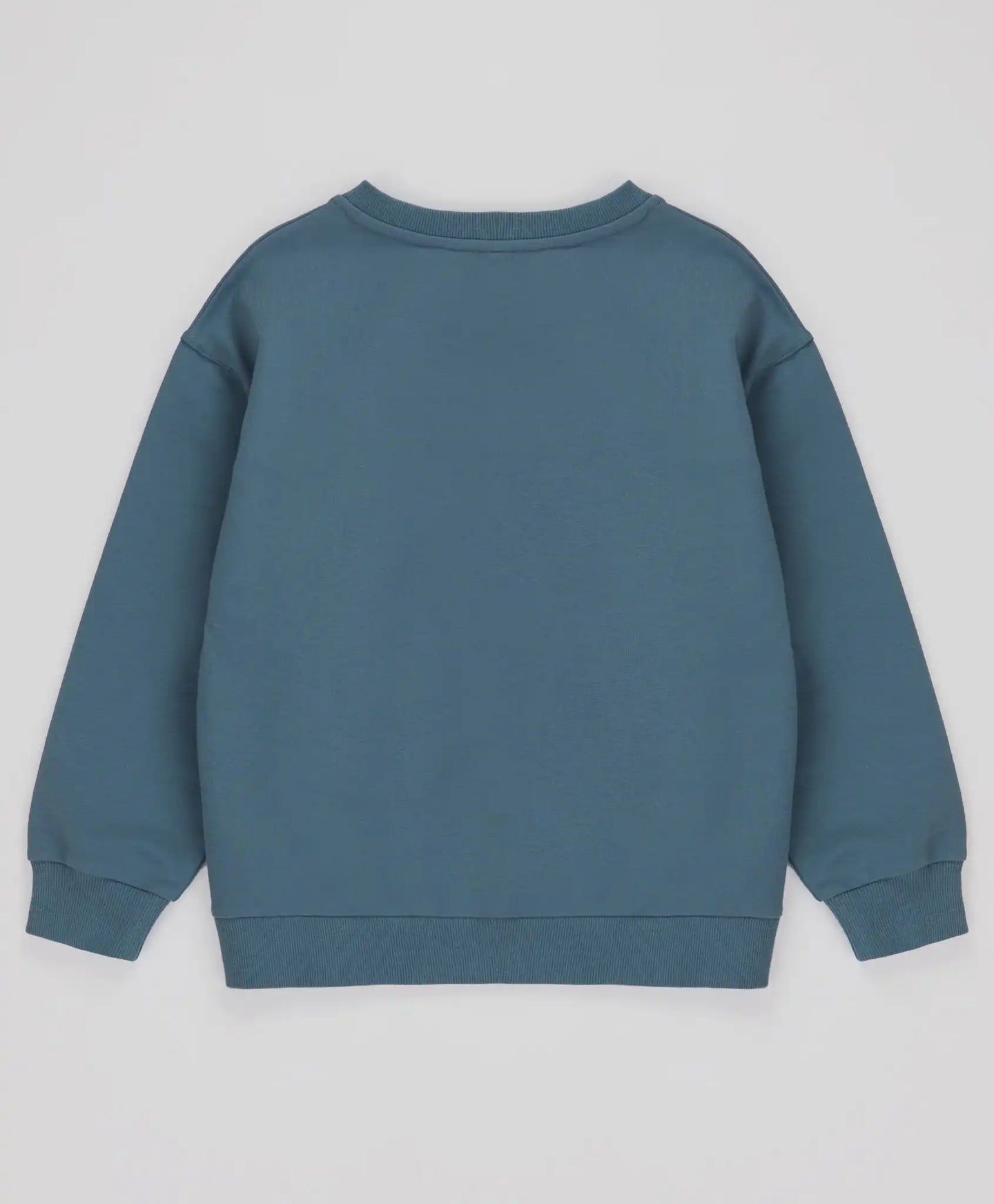 Суитшърт базов с дълъг ръкав и принт син детски Button Blue