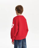 Суитшърт за момче с V-образно деколте, червен Gulliver